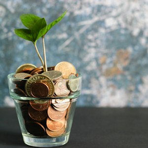 Stacked coins with a growing plant, symbolising financial problem astrology remedies